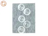 Snapseglas 5 styk (str. 10 cm x Ø5 cm ) - 3