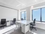 Smukt designet kontorplads til 2 personer i Spaces - 2