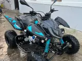 ATV Access 450cc - 2