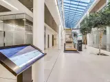 Topmoderne multibrugerhus med kantine - 4