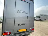 Renault Master hestetransporter - boks indretning - 4