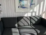 Sofaer i bøg og stof sælges - 3