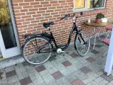 Mosquito El-cykel. Med 7 gear - 3