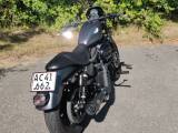 Harley davidson sportster 883XL - 4