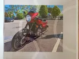 Honda GL500 Cafe Racer - 3