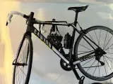 Fuld carbon Canyon 