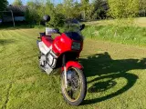 Honda Transalp XL600 V - 2