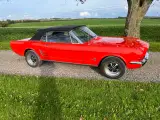 Ford Mustang cabriolet 66 4,7 L 