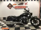 Indian Chief Dark Horse