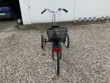 3-hjulet El cykel Viktor - 2