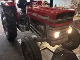 Massey Ferguson 135D - 5