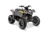 Polaris PHOENIX 200
