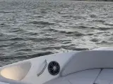 Sea Ray SPX 190 OB - 2023 | Mercury F150 ELPT | Ku - 5