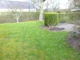 Meget velholdt udlejningsejendom - 5
