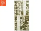 Kartoffel Folket vinylplade (str. 31 x 31 cm) - 4