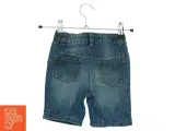 Shorts (str. 80 cm) - 2