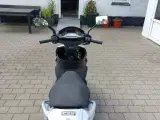 PGO T Rex 