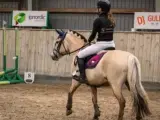 Leder efter en part til min skønne pony!!  - 2