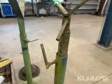 Bukke 3 styk - 4