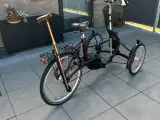 3 hjulet el cykel - 2