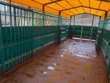 Kreaturvogn 8 x 2,5m - 5