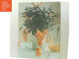 Dæk med blomster (Bog) - 3