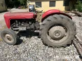 Veterantraktor Massey Ferguson 35 - 5