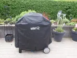 weber q3200 - 2