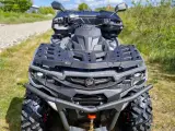 ATV AOdes PathCross 650 S  - 4