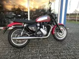 BSA Gold star 650 Insignia red - 2