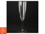 Champagneglas (str. 21,5 cm) - 3