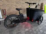 BBcargo ladcykel (flexrider) - 2