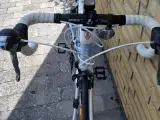 Racercykel (Trek-damecykel) - 4