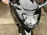 Honda blackbird - 4