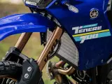 Yamaha Ténéré 700 Extreme - 3