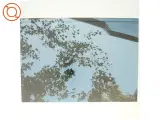Highlights - af Danielsen Architecture (bog) - 3