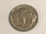 Buffalo Nickel 1920 USA - 2