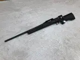 Strasser Solo Evo. Synt. - 4