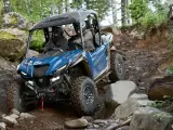 Yamaha Wolverine RMAX2 1000 LE - 2