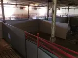 Egebjerg Slagtesvin inventar - 2