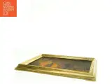Gylden billede ramme med oliemaleri (str. 47 x 63 cm) - 4