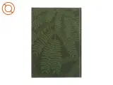 Samui (bog) - 2