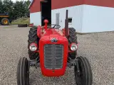 massey ferguson 35, 3 cyl Diesel - 2