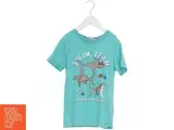 Blå T-shirt med hajmotiv fra H&M (str. 122) - 2