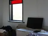 Netop moderniseret kontor / beboelse udlejes - 4