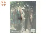 The Most Beautiful Country Towns of Provence af Helena Attlee, Alex Ramsay (Bog) - 3