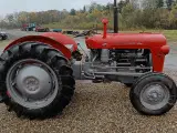 massey ferguson 35, 3 cyl Diesel - 4