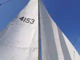 Sejlbåd Jaguar 22 - 2