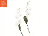 Kunstige orkidéblomster (str. 80x20 cm) - 2