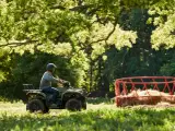 Yamaha Kodiak 700 EPS Traktor (Electric Power Steering) - 5